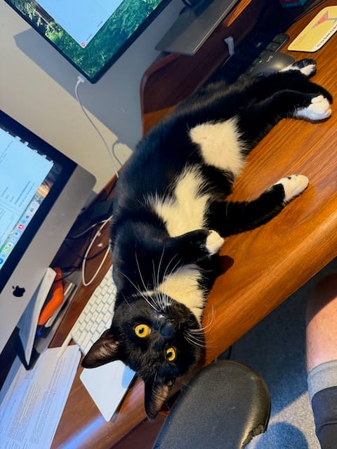 Bruce